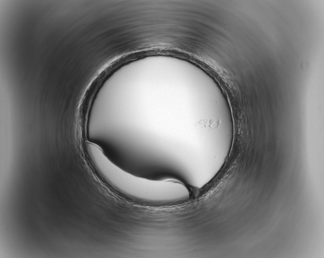 X0000096451118200802141507