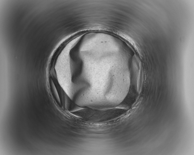 X0000096451120200802141507