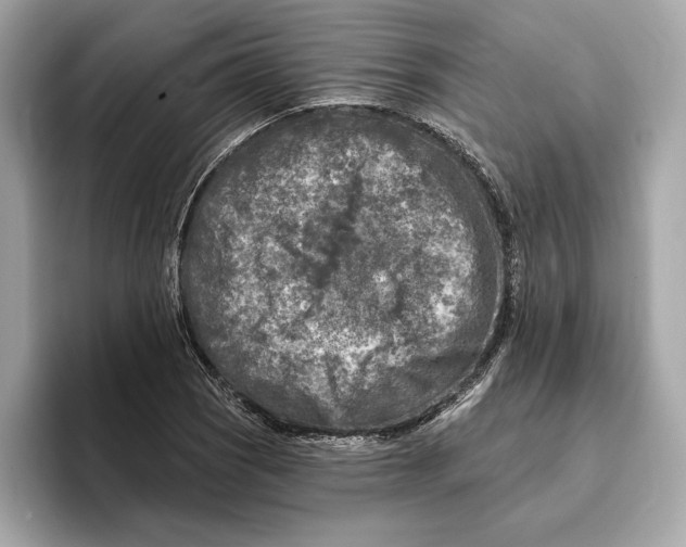 X0000096451121200802141507