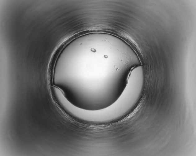 X0000096451122200802141507