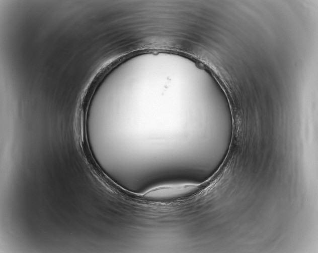 X0000096451123200802141507