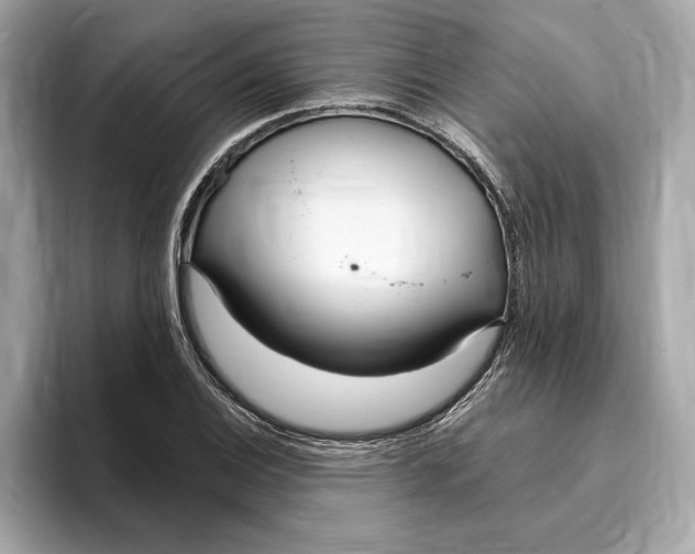 X0000096451124200802141507