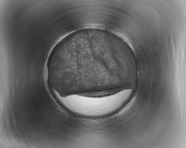 X0000096451125200802141507