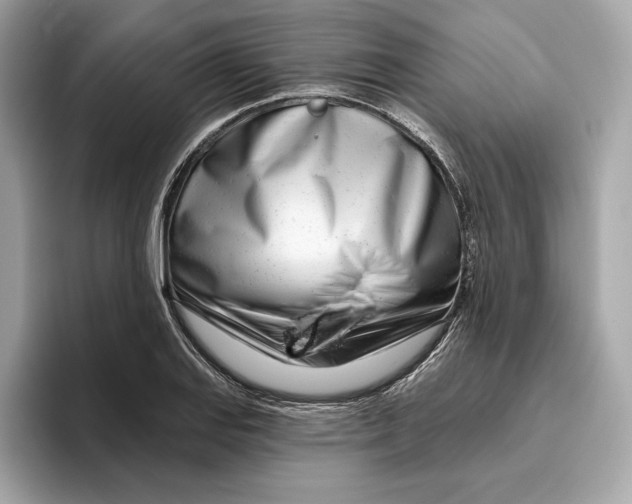 X0000096451127200802141507