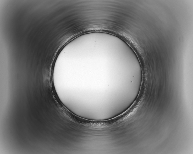 X0000096451129200802141507