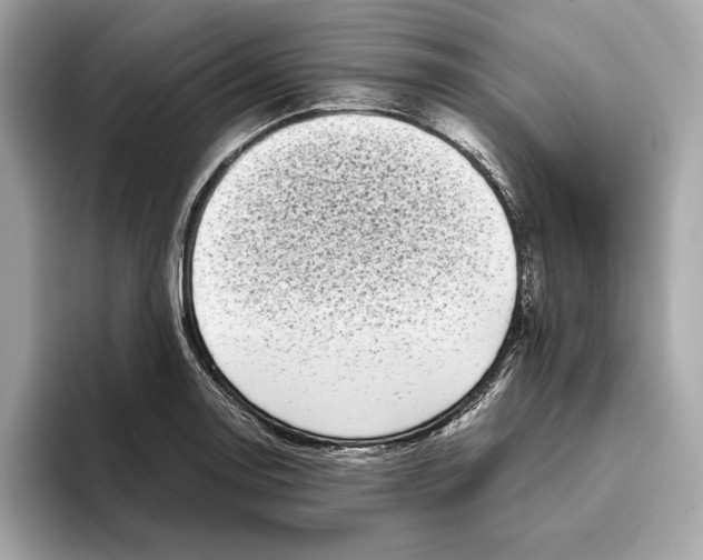 X0000096451130200802141507