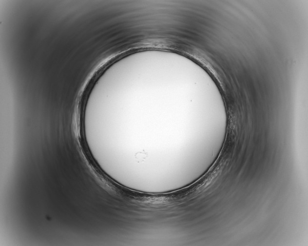 X0000096451131200802141507