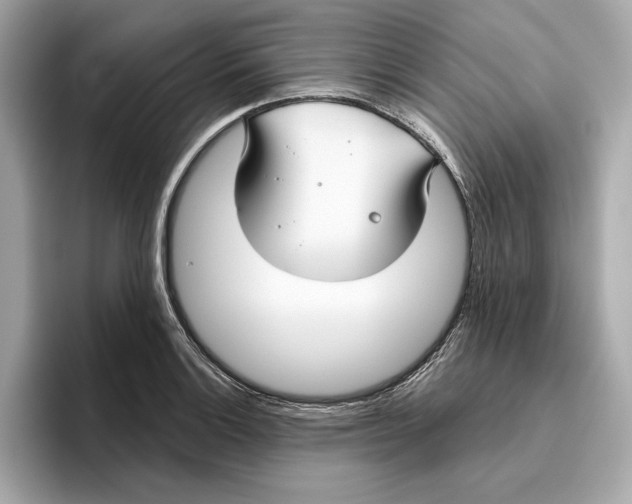 X0000096451132200802141507