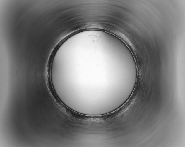 X0000096451133200802141507