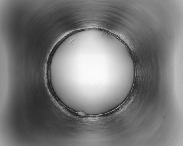 X0000096451134200802141507