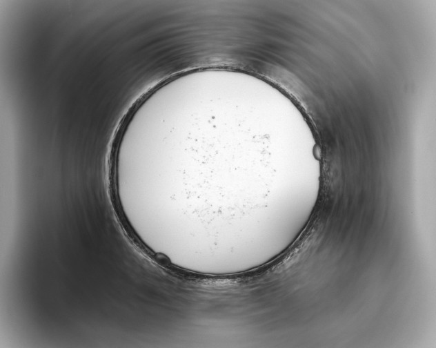 X0000096451135200802141507