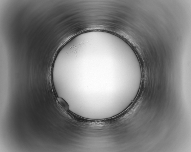 X0000096451137200802141507