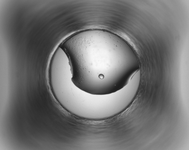 X0000096451140200802141507