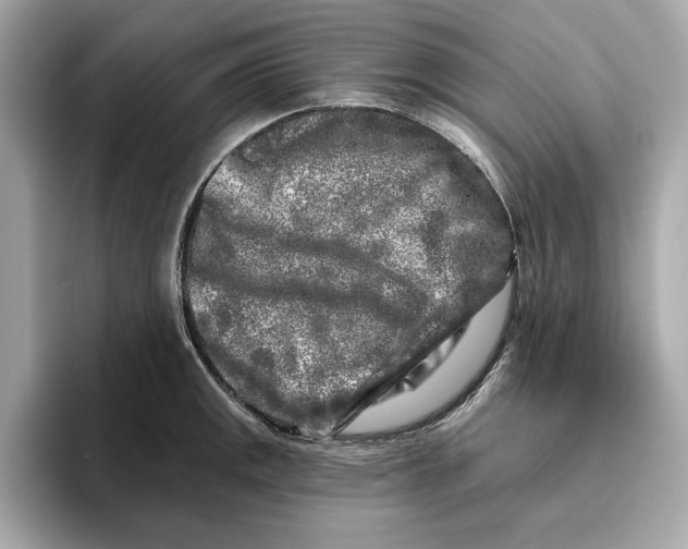 X0000096451141200802141507