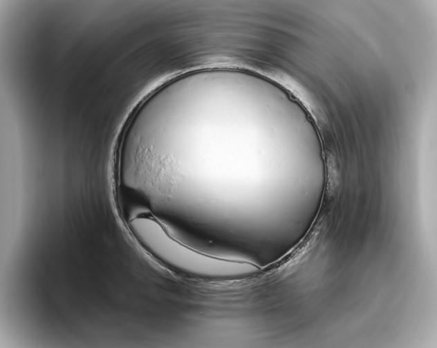 X0000096451142200802141507