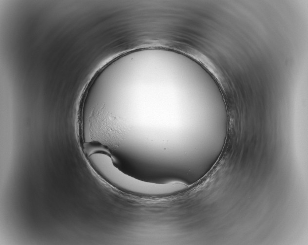 X0000096451143200802141507