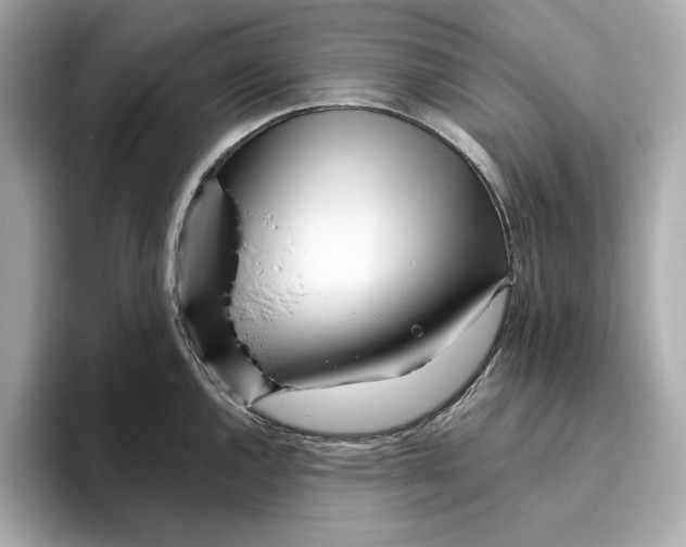 X0000096451144200802141507