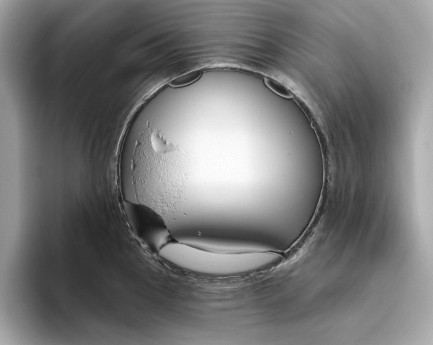 X0000096451145200802141507