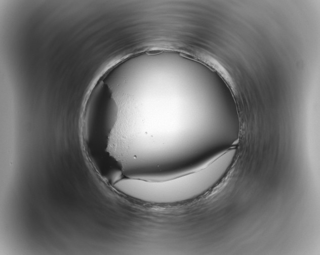 X0000096451146200802141507