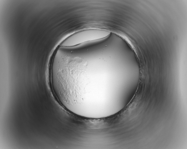 X0000096451147200802141507