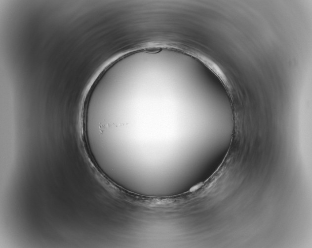 X0000096451148200802141507