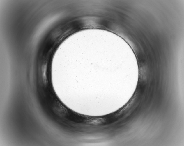 X0000096451150200802141507