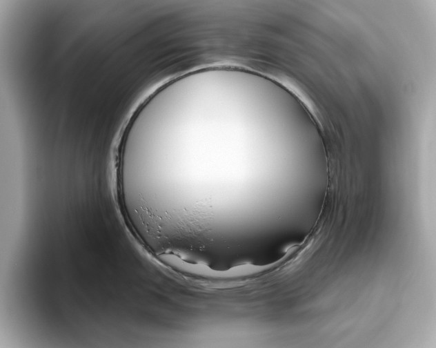 X0000096451151200802141507