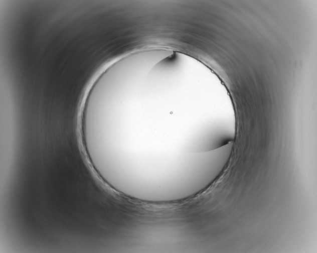 X0000096451152200802141507