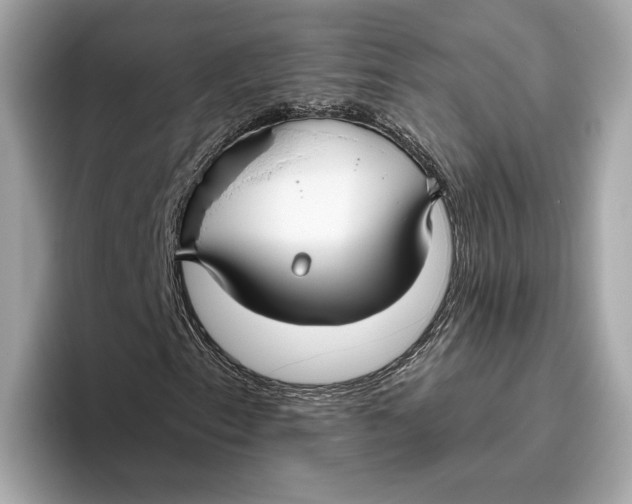 X0000096451153200802141506