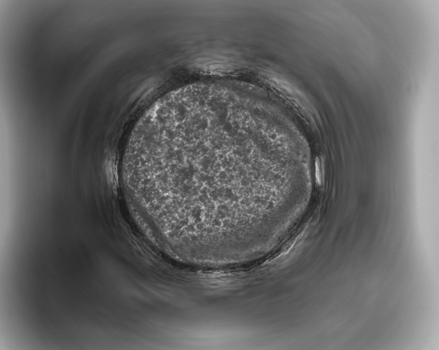 X0000096451155200802141506