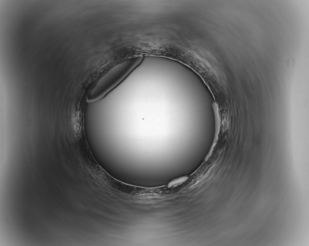 X0000096451156200802141506