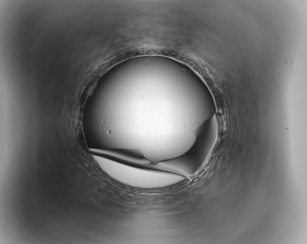 X0000096451157200802141506