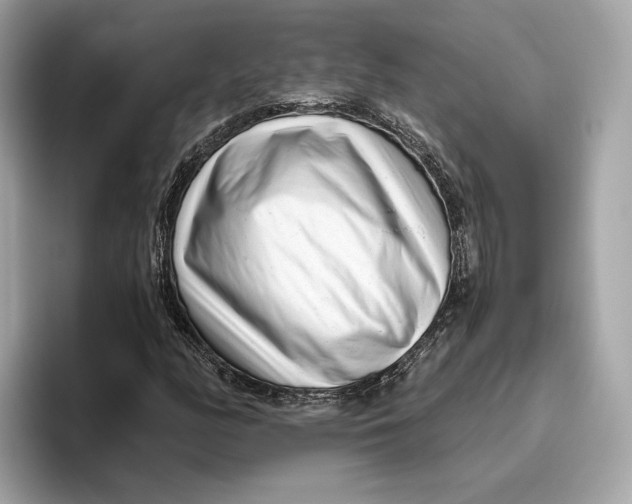 X0000096451158200802141506