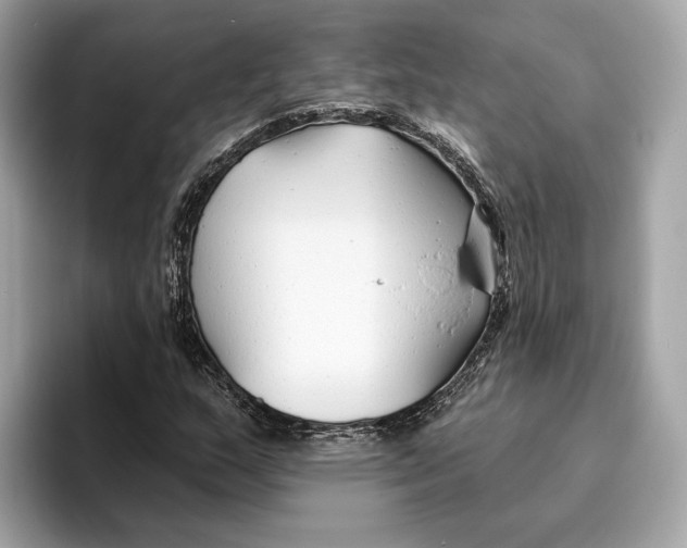 X0000096451159200802141506