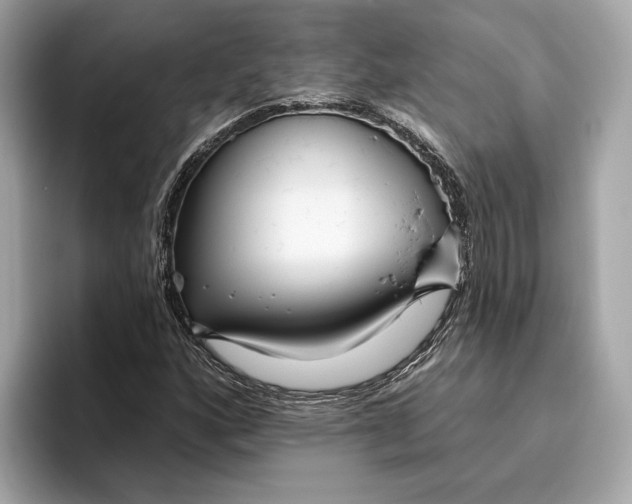 X0000096451160200802141506