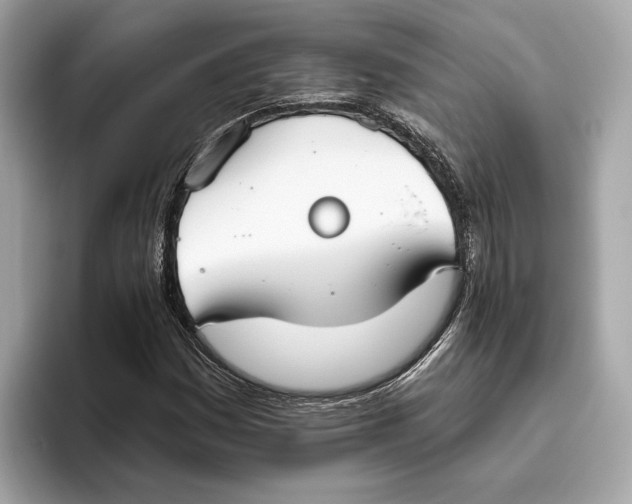 X0000096451161200802141506