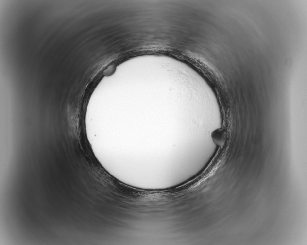 X0000096451162200802141506