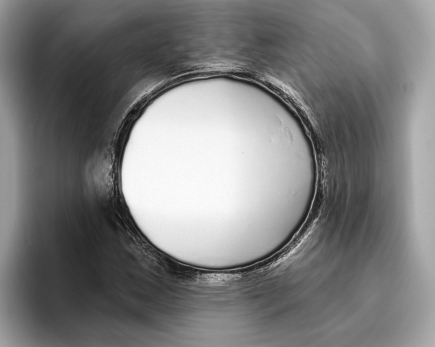 X0000096451163200802141506