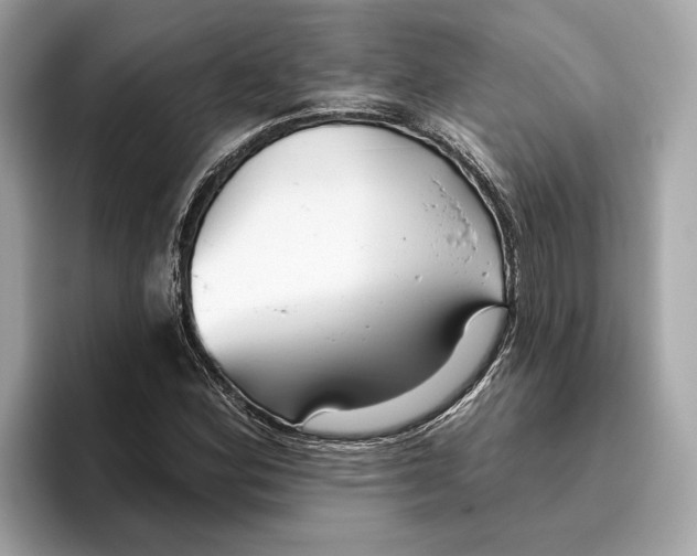 X0000096451164200802141506