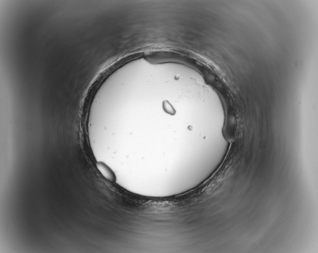 X0000096451168200802141506