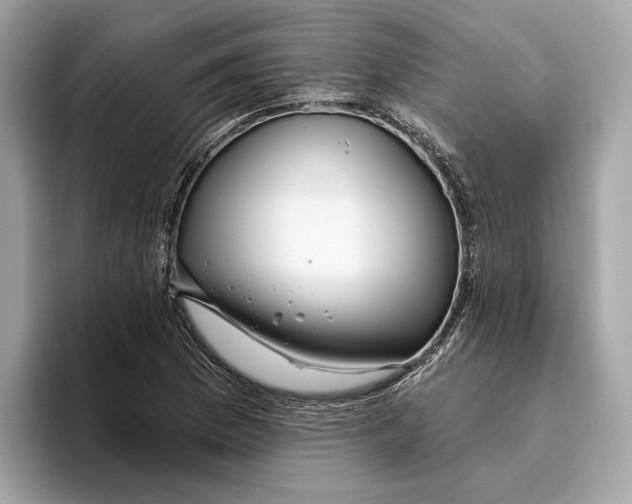 X0000096451169200802141506