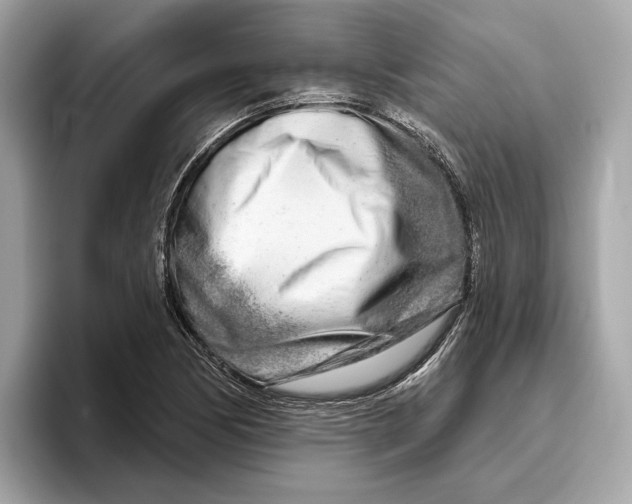 X0000096451170200802141506