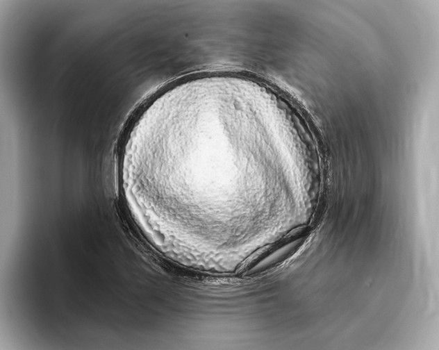 X0000096451171200802141506