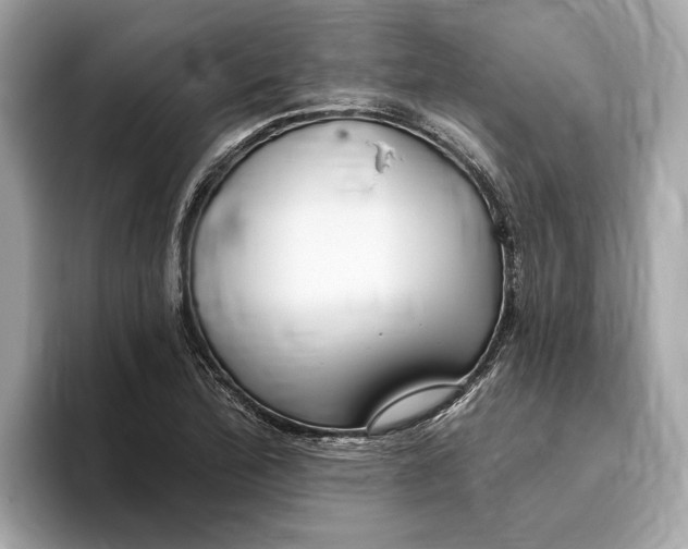 X0000096451172200802141506