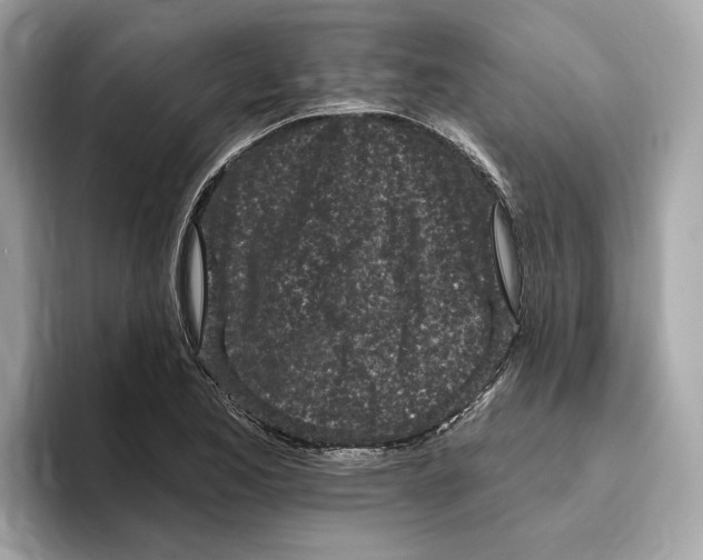 X0000096451173200802141506