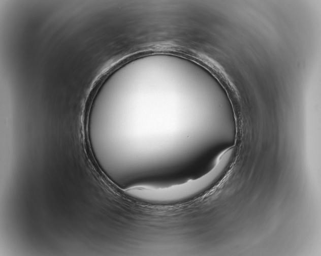 X0000096451176200802141506