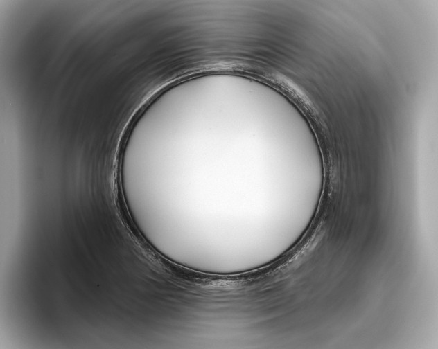 X0000096451178200802141506