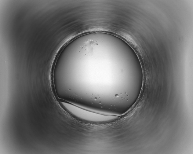 X0000096451181200802141506