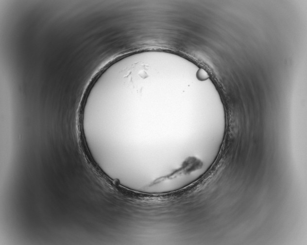 X0000096451182200802141506