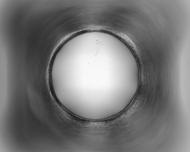 X0000096451183200802141506